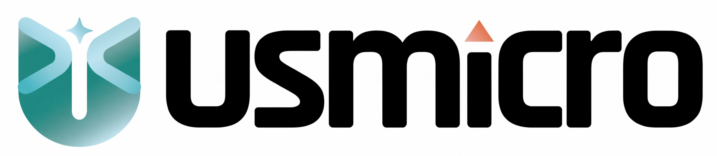 USMICRO